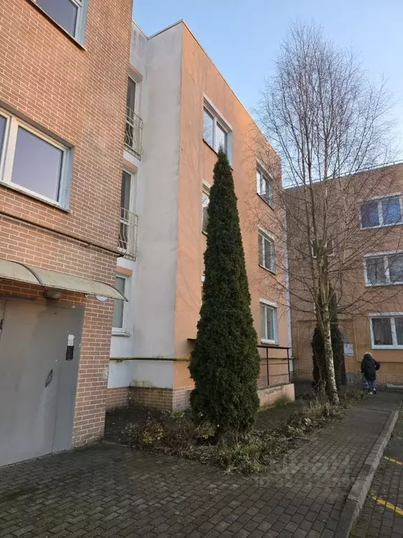 1-к кв. Калининградская область, Калининград ул. Левитана, 14 (33.8 м) - Фото 2