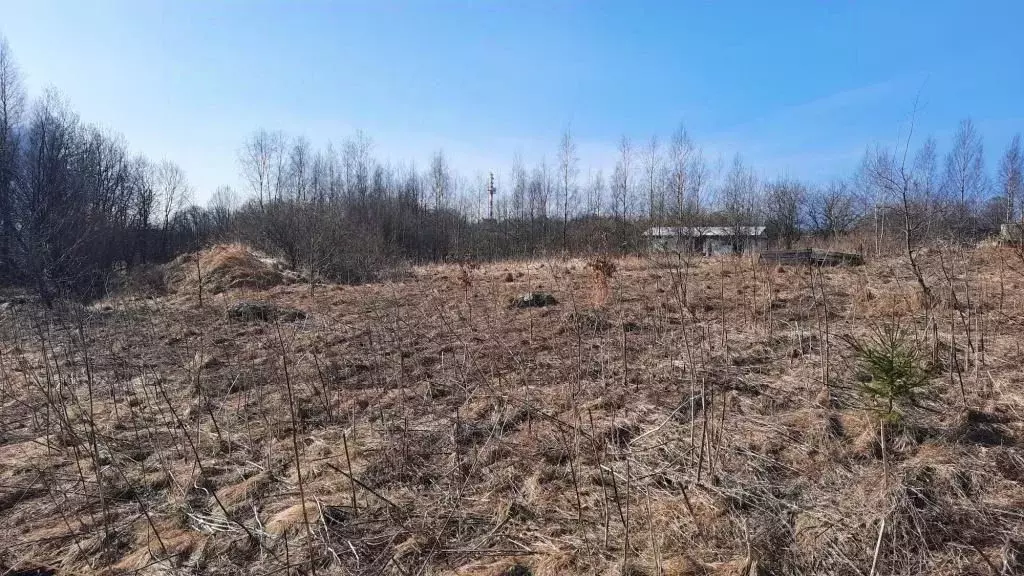 Участок в Ленинградская область, Кингисеппский район, Вистинское ... - Фото 2