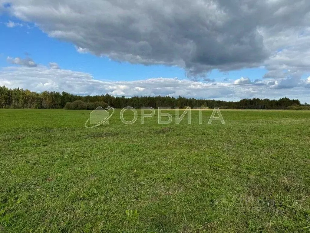 Участок в Тюменская область, Тюменский муниципальный округ, д. Большие ... - Фото 1