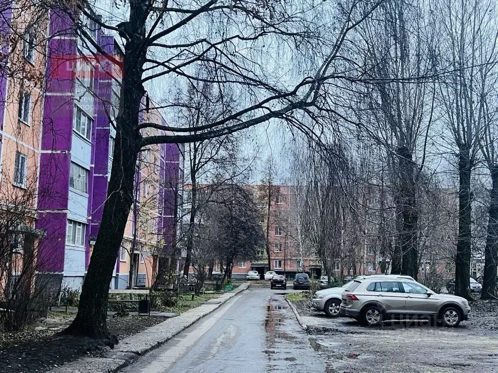 3-к кв. Рязанская область, Новомичуринск г. Пронский муниципальный ... - Фото 2