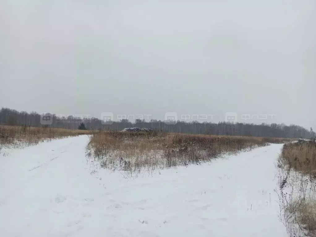 Участок в Татарстан, Лаишевский район, Нармонское с/пос, с. Тетеево  ... - Фото 1