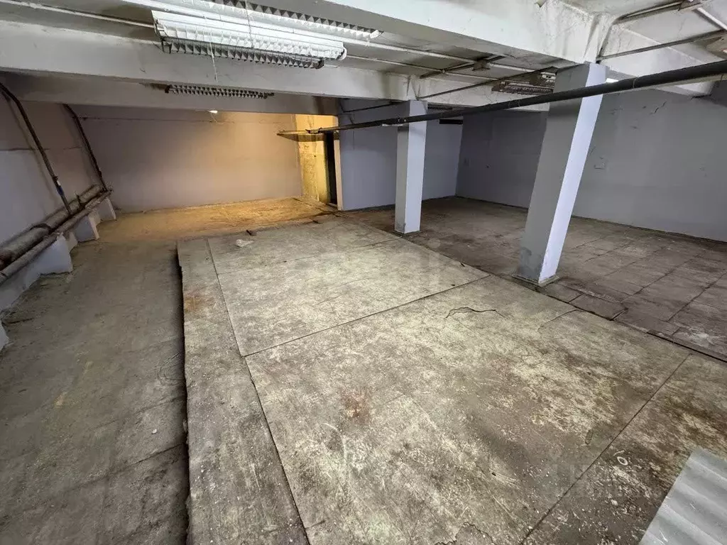 Помещение свободного назначения в Красноярский край, Красноярск ... - Фото 1