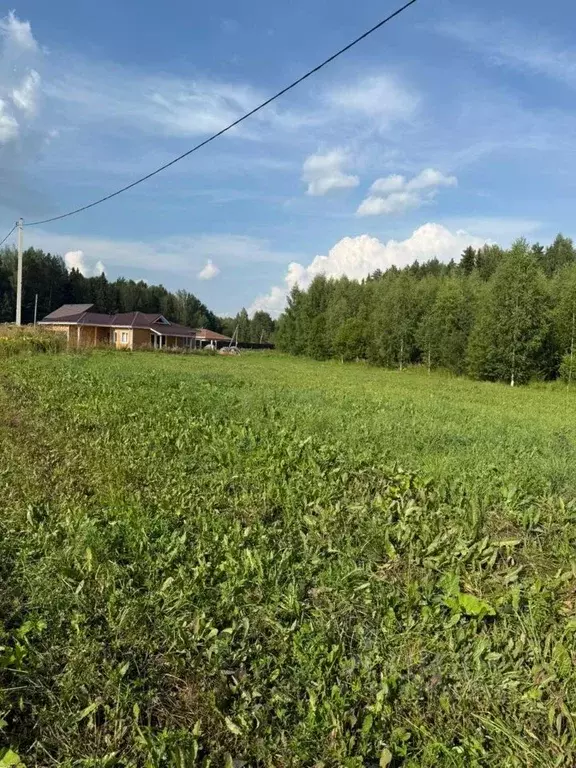 Участок в Кировская область, Слободской муниципальный район, Шиховское ... - Фото 2