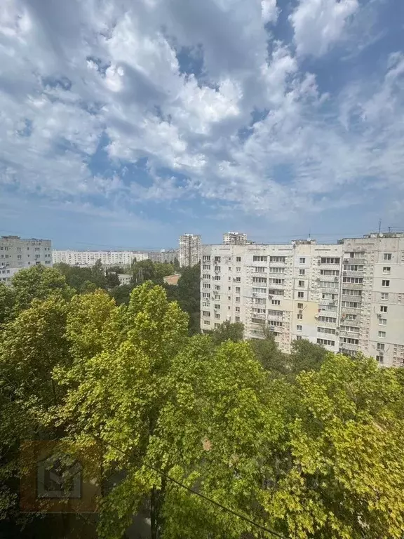1-к кв. Севастополь ул. Колобова, 15 (32.4 м) - Фото 1