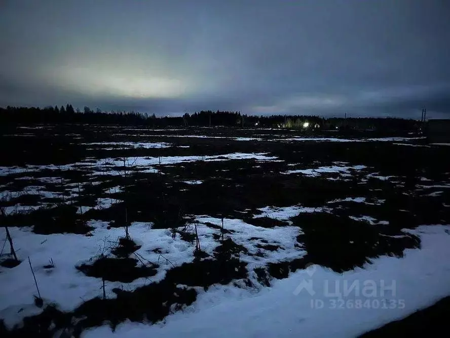 Участок в Московская область, Можайский муниципальный округ, д. ... - Фото 2