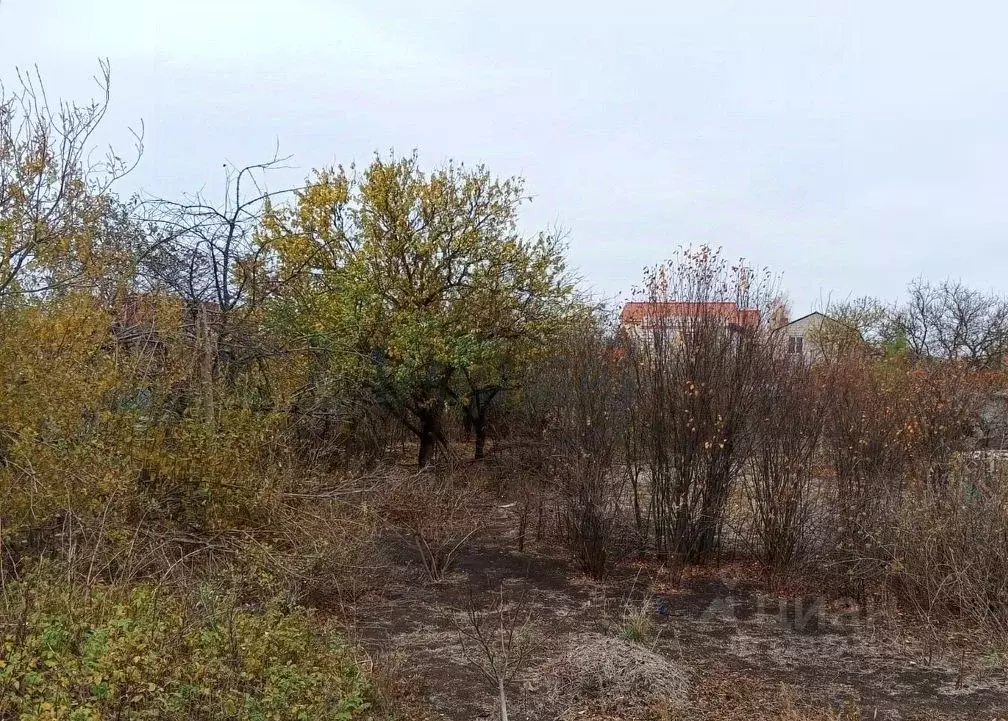 Участок в Ростовская область, Азовский район, с. Кулешовка ... - Фото 1