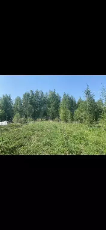 Участок 11 сот. (ИЖС) - Фото 1
