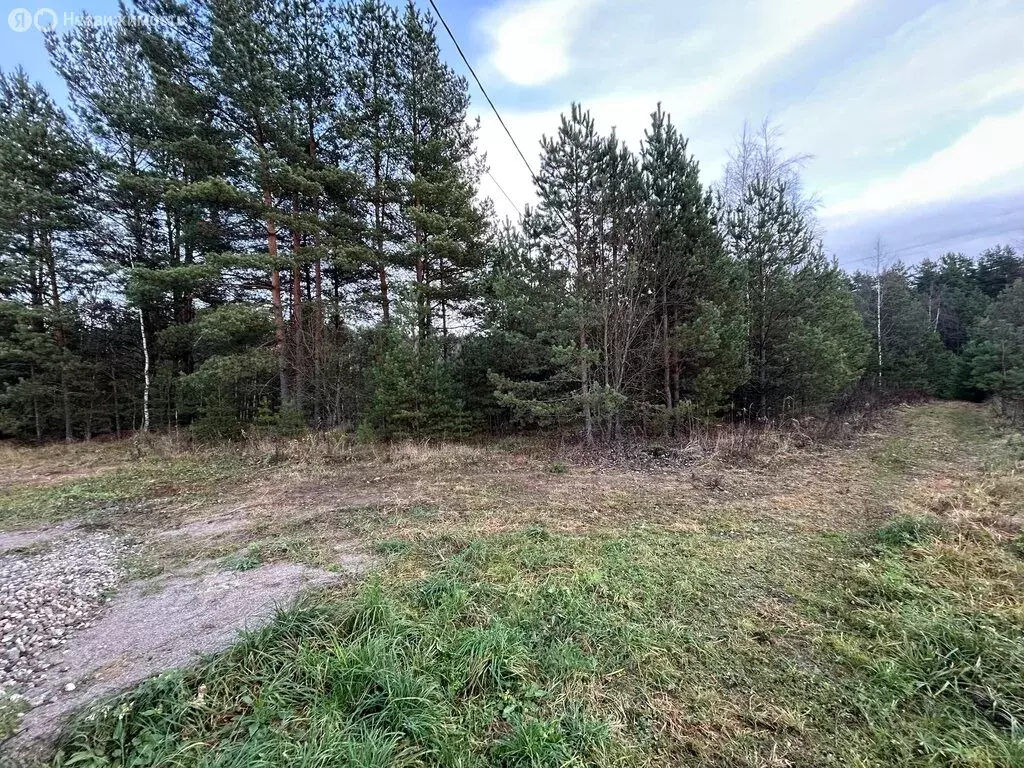 Участок в Владимирская область, Киржачский муниципальный округ, ... - Фото 2