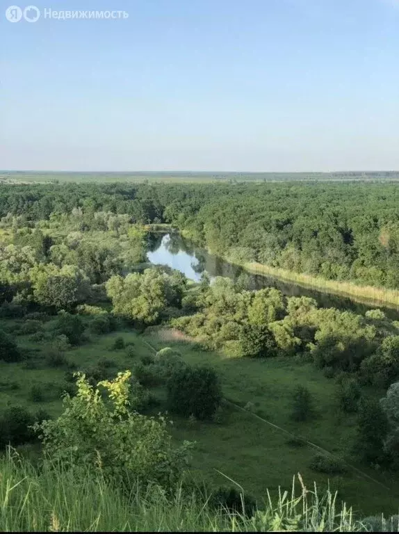 Участок в Рамонский район, Карачунское сельское поселение, село Сенное ... - Фото 1