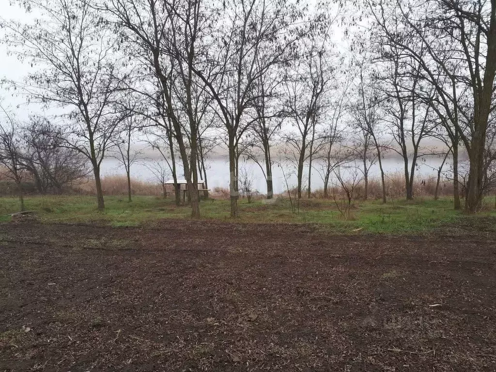 Участок в Ростовская область, Азовский район, Задонское с/пос, Победа ... - Фото 1