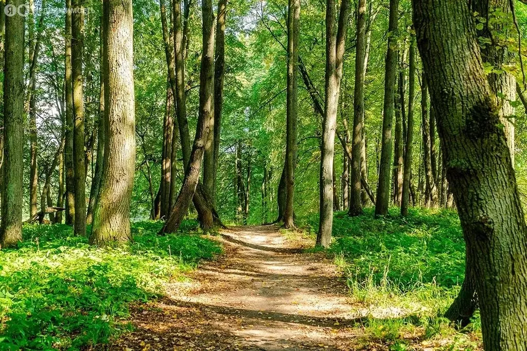 Дом в деревня Марьина Гора, ТСН КП Марьина Гора (192 м) - Фото 1