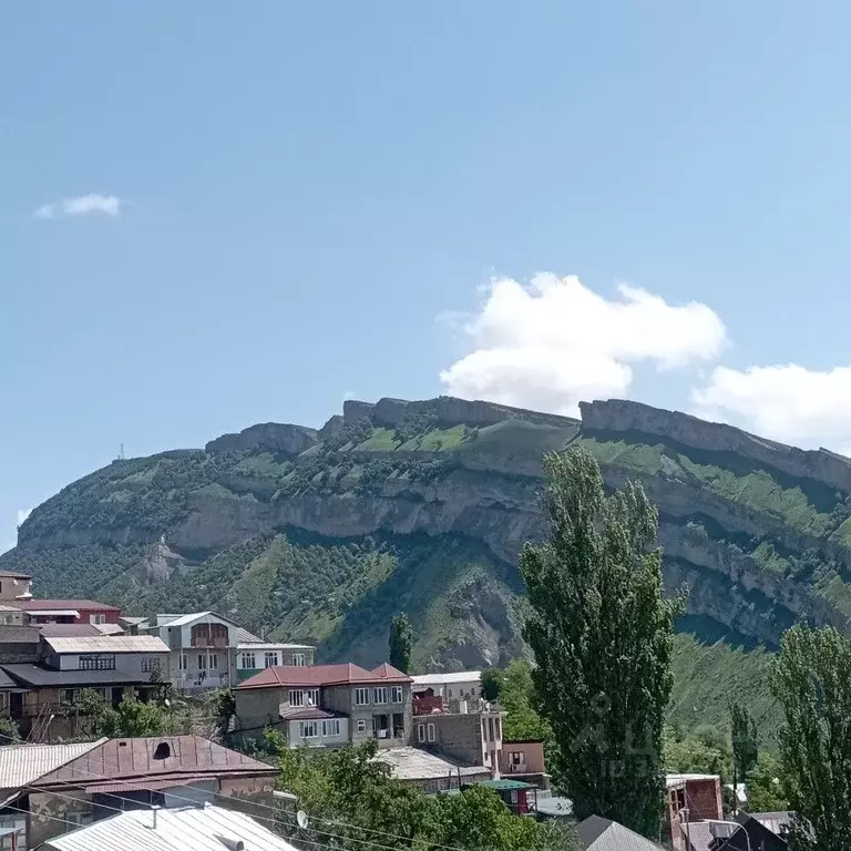 Дом в Дагестан, с. Гуниб ул. Артельная, 39 (100 м) - Фото 1