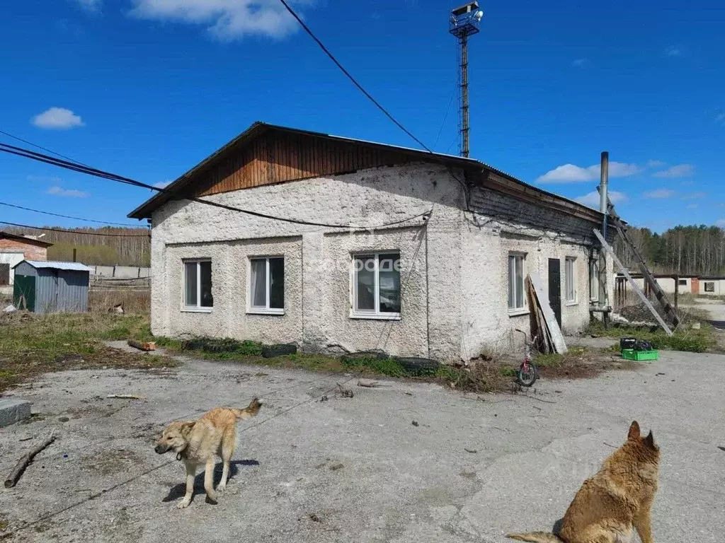 Помещение свободного назначения в Свердловская область, Верхний Тагил ... - Фото 1