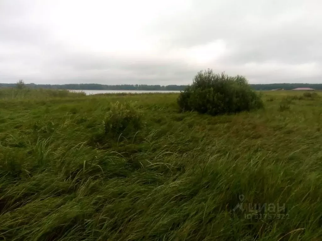 Участок в Тверская область, Осташковский муниципальный округ, пос. ... - Фото 1