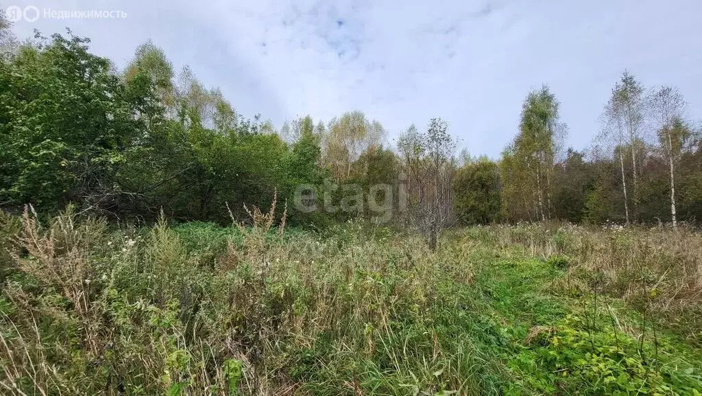 Участок в Мышкинский район, Приволжское сельское поселение, село ... - Фото 0