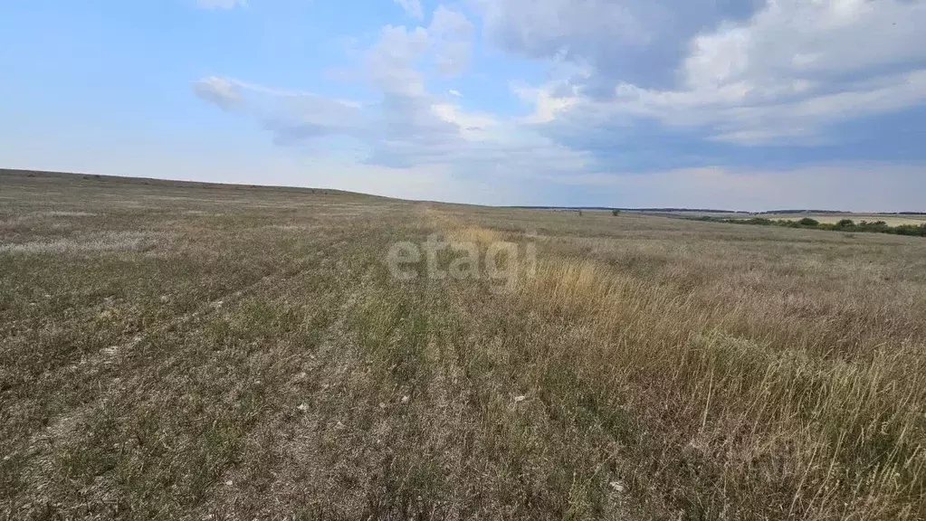 Участок в Крым, Белогорский район, с. Русаковка  (407.3 сот.) - Фото 0