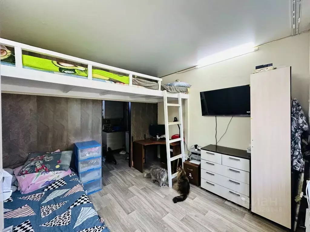 Комната Нижегородская область, Бор Профсоюзная ул., 2 (14.0 м) - Фото 1