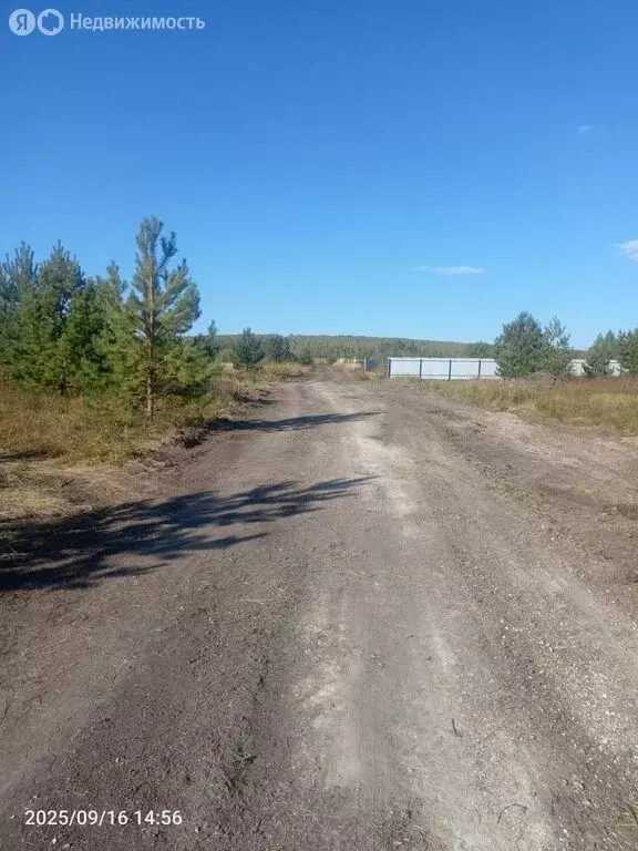 Участок в Кочкуровский район, село Новая Пырма (10 м) - Фото 2