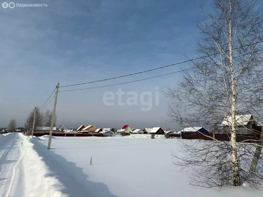 Участок в Новосибирская область, Коченёвский муниципальный район, СНТ ... - Фото 2