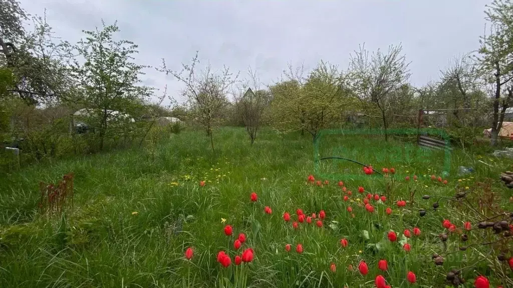 Участок в Калининградская область, Калининград Победа садовое ... - Фото 0