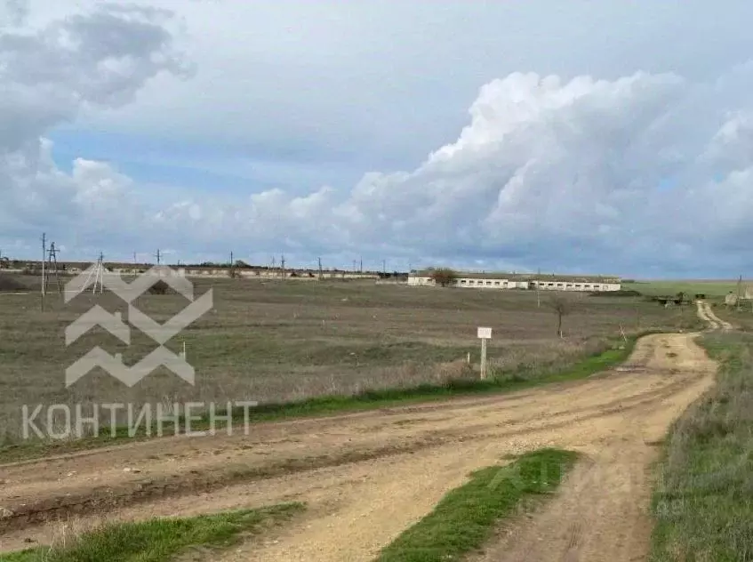 Участок в Крым, Черноморский район, Оленевское с/пос, с. Оленевка  ... - Фото 2