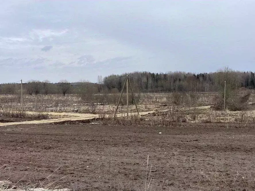 Участок в Ленинградская область, Киришский район, Пчевское с/пос, д. ... - Фото 2