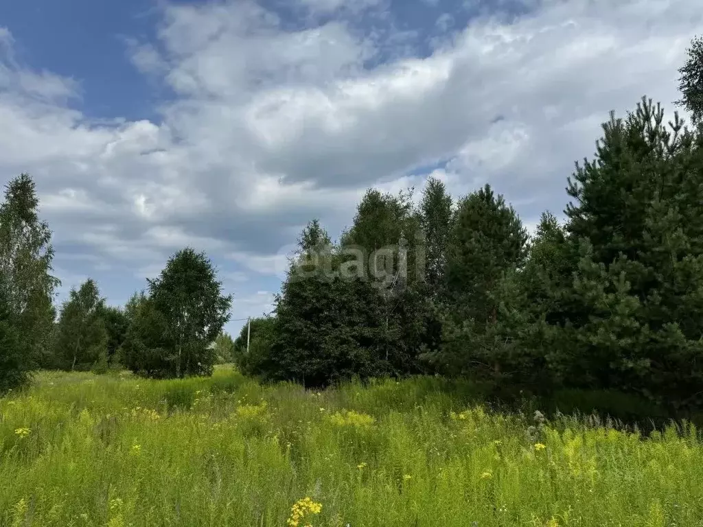 Участок в Нижегородская область, Городецкий муниципальный округ, д. ... - Фото 2