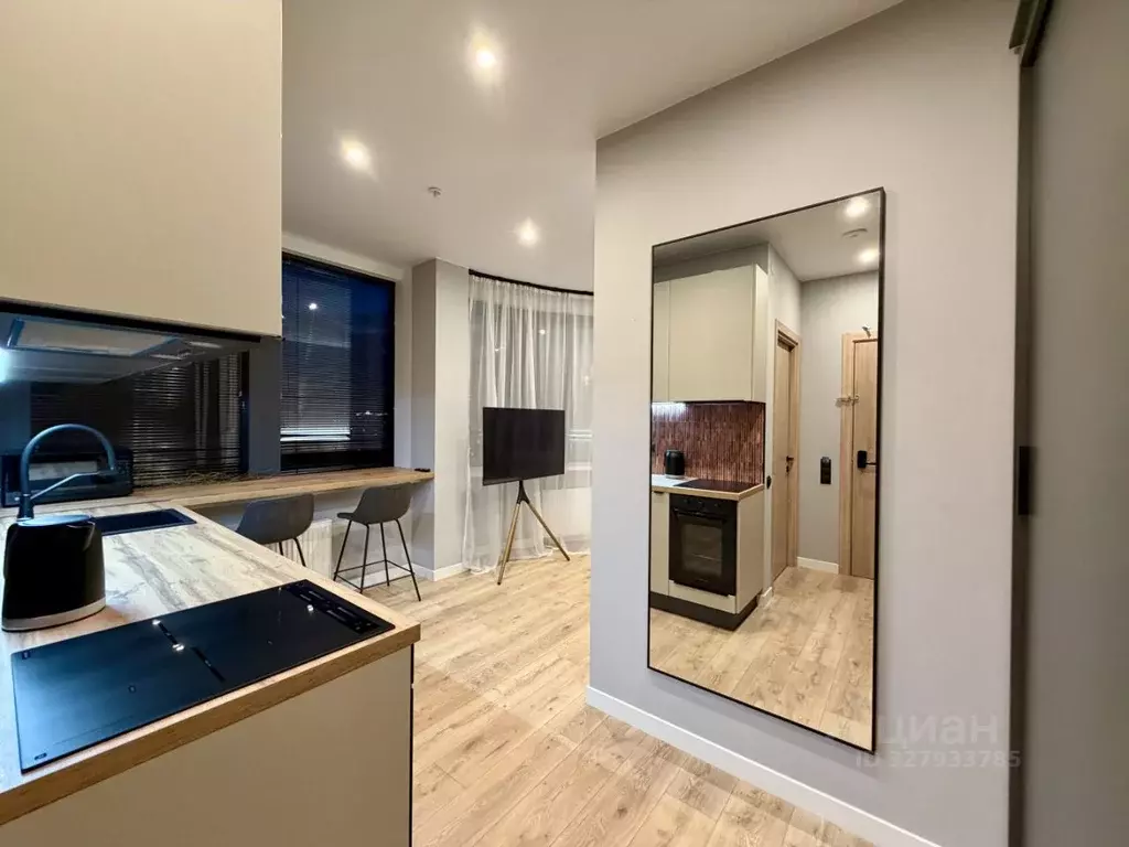 Студия Санкт-Петербург просп. Энергетиков, 2к2 (28.0 м) - Фото 1