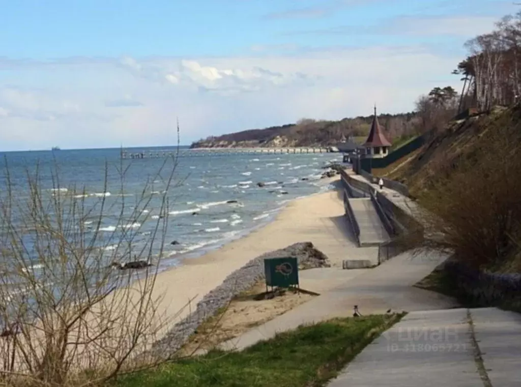 Участок в Калининградская область, Приморск ул. Приморская (8.0 сот.) - Фото 0