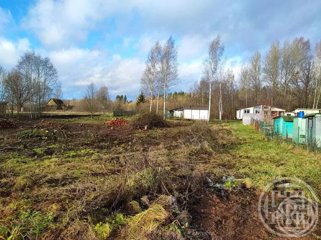 Участок в Ленинградская область, Лужский район, Заклинское с/пос, д. ... - Фото 2