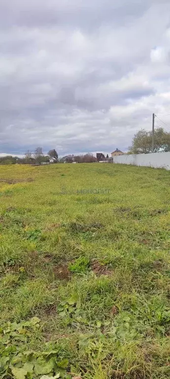 Участок в Нижегородская область, Богородский муниципальный округ, с. ... - Фото 0