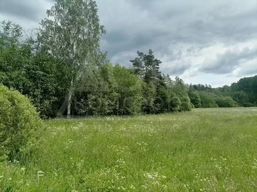 Участок в Ленинградская область, Приозерский район, Мельниковское ... - Фото 1