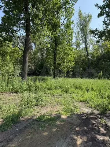 Участок 12 сот. (ИЖС) - Фото 0