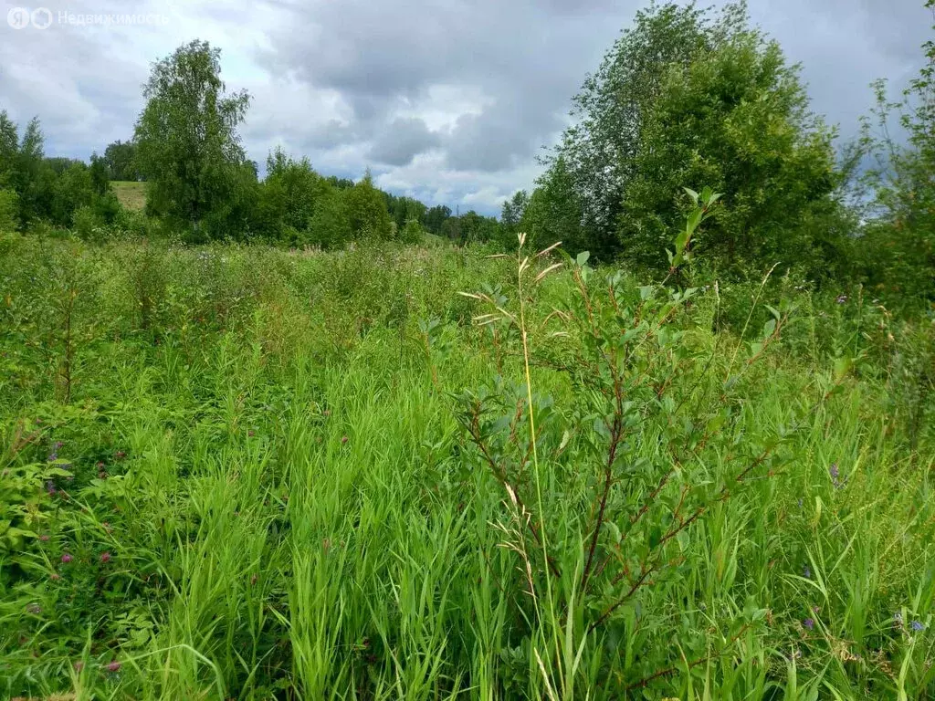 Участок в Афанасьевский, Трактовая улица, 11 (30 м) - Фото 1