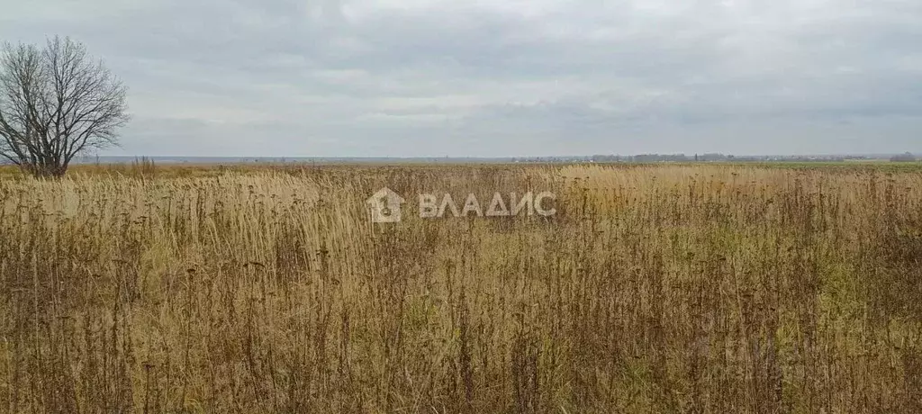 Участок в Марий Эл, Медведевский район, Пекшиксолинское с/пос, д. ... - Фото 1