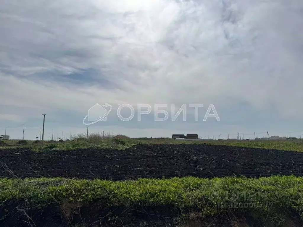 Участок в Тюменская область, Тюменский район, с. Борки ул. Ильинская ... - Фото 2