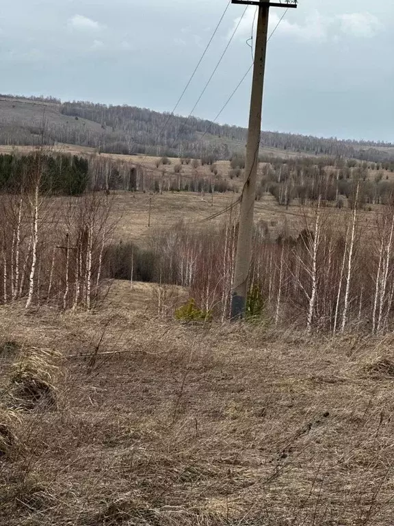 Участок в Кемеровская область, Новокузнецкий муниципальный округ, с. ... - Фото 2