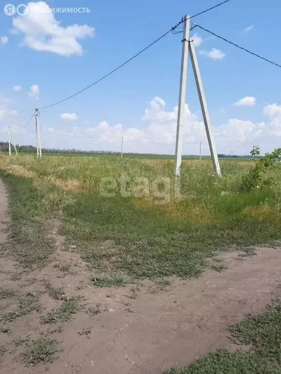 Участок в Воронеж, Южная улица (10 м) - Фото 0