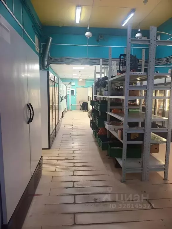 Помещение свободного назначения в Москва Миклухо-Маклая ул., 42Б (494 ... - Фото 1