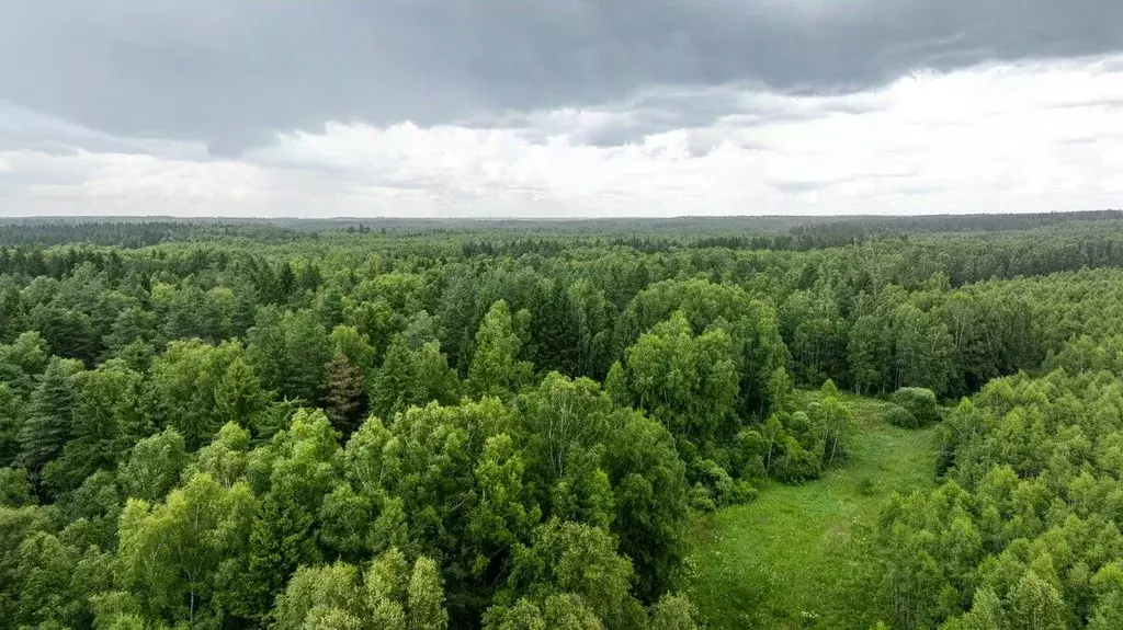 Помещение свободного назначения в Московская область, Можайский ... - Фото 2