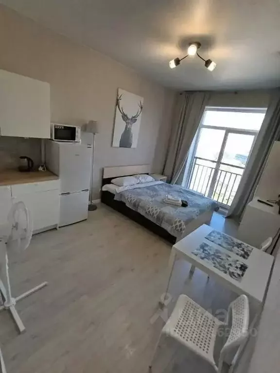 1-к кв. Санкт-Петербург Пулковское ш., 14с6 (26.0 м) - Фото 2