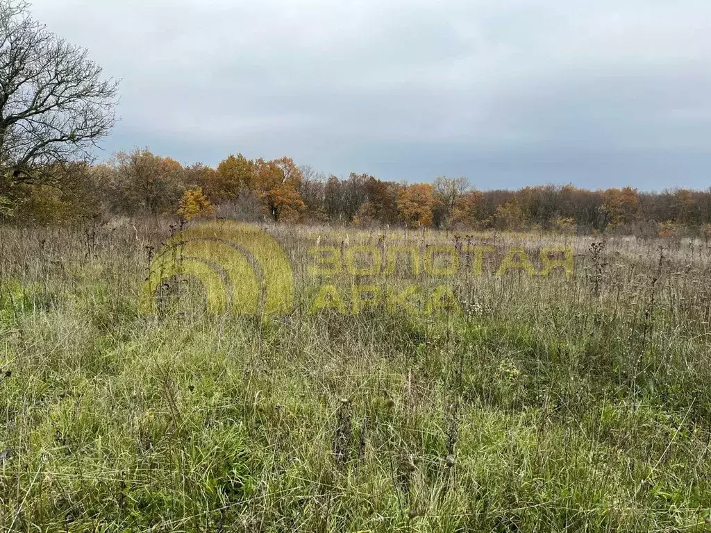 Участок, 10 сот., - Фото 2