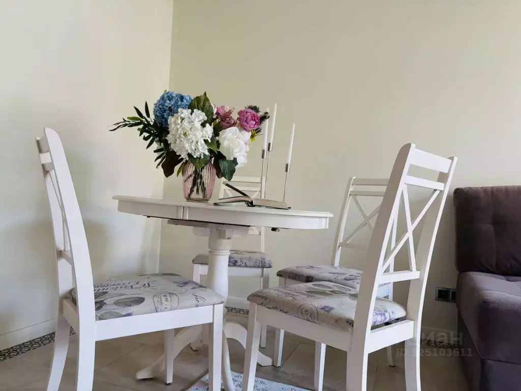 1-к кв. Краснодарский край, Сочи Центральный мкр, ул. Нагорная, 12 ... - Фото 2