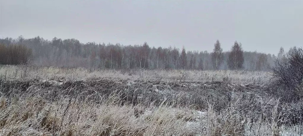 Участок в Московская область, Кашира городской округ, д. Никулино  ... - Фото 0