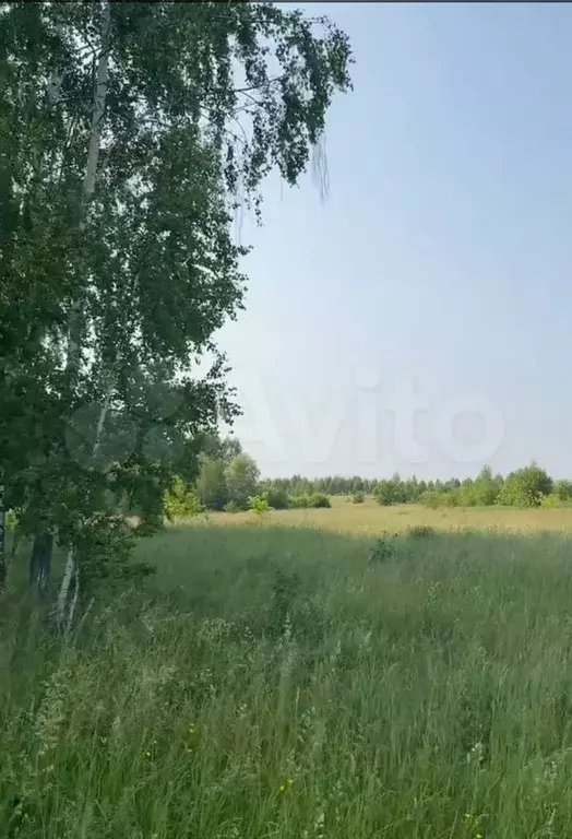 Участок 10 сот. (ИЖС) - Фото 1