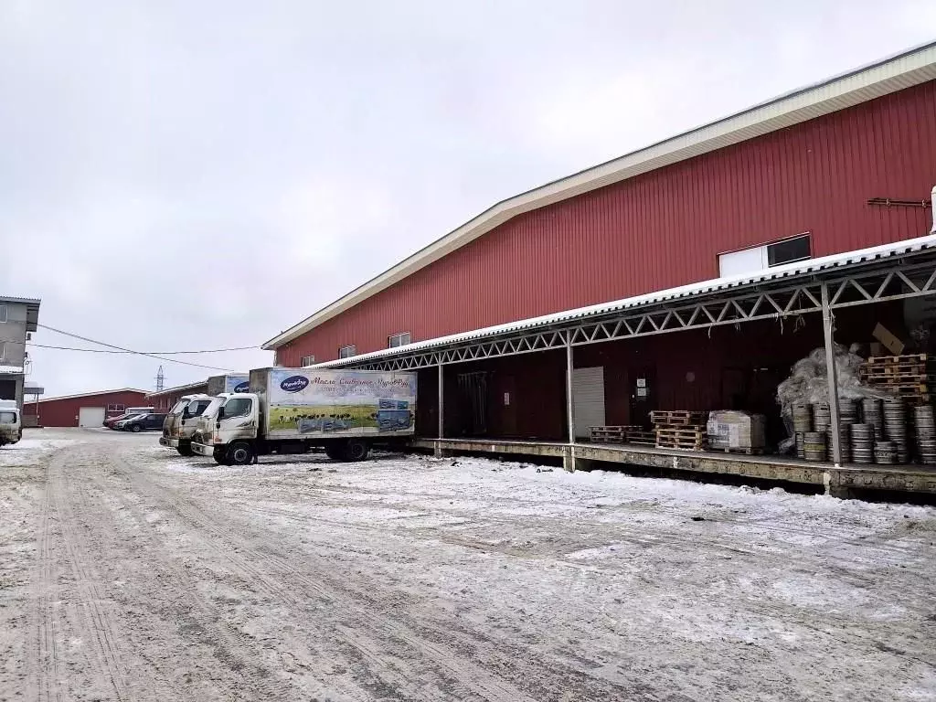Склад в Московская область, Мытищи городской округ, д. Грибки  (851 м) - Фото 1