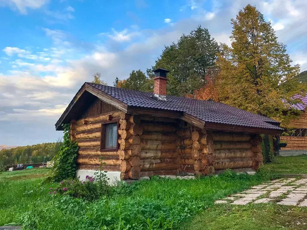 Дом в Алтайский край, Алтайский район, с. Нижнекаянча ул. Усть-Уба, 17 ... - Фото 1