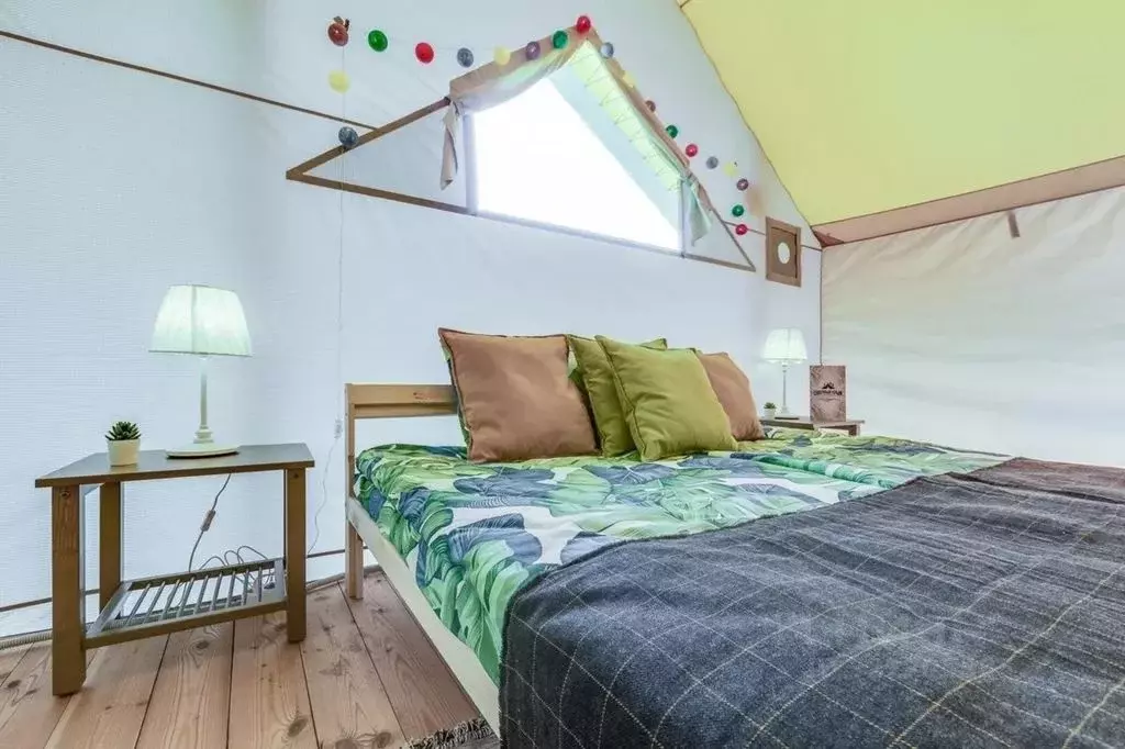 Дом в Ленинградская область, Лужский район, Заклинское с/пос, д. ... - Фото 1