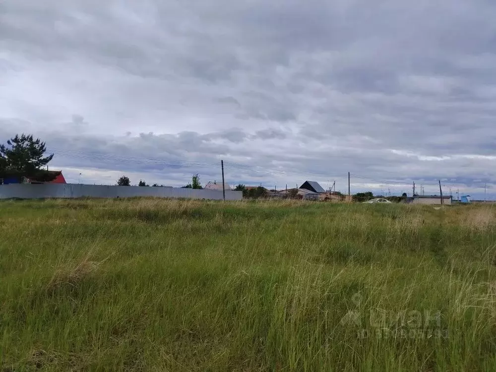 Участок в Ульяновская область, Чердаклинский район, Красноярское ... - Фото 1