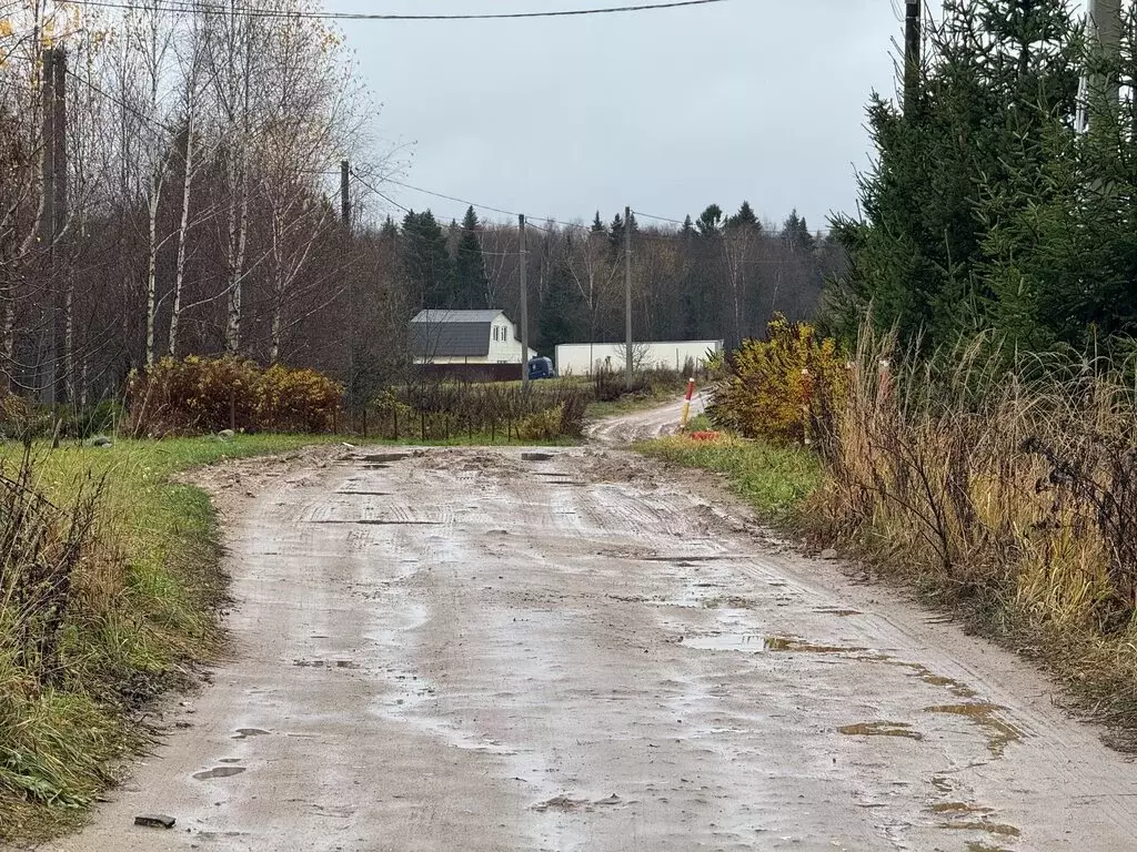 Участок в Владимирская область, Александровский муниципальный округ, ... - Фото 1